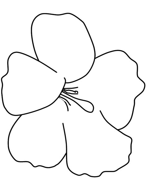 Hibiscus Flower Template Clipart Best