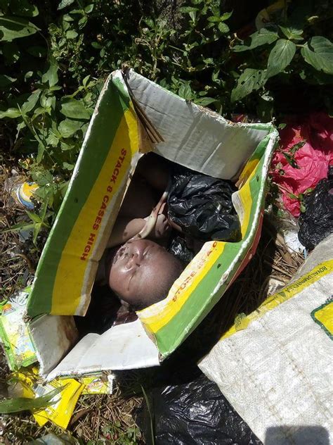 South african 10 babies story is false, inquiry finds. The abandonment of newborn babies in Nigeria is an ...
