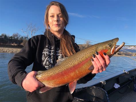 Fishing - Sac River steelhead/trout fishing still going strong!