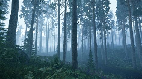 Misty Pine Forest Cryengine 3 Michael Susha Misty Forest Forest