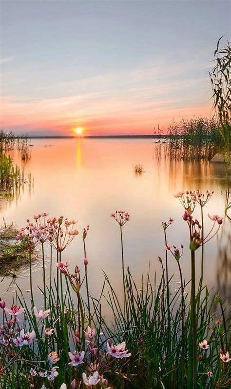 969 Best Peaceful Calm Tranquil And Serene Images On Pinterest