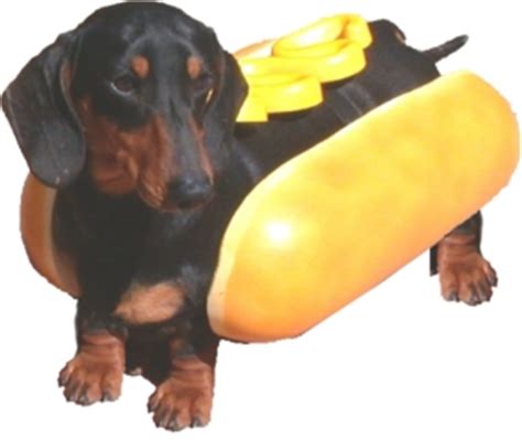 Maybe you would like to learn more about one of these? Hot dog | Spademanns Leksikon | FANDOM powered by Wikia