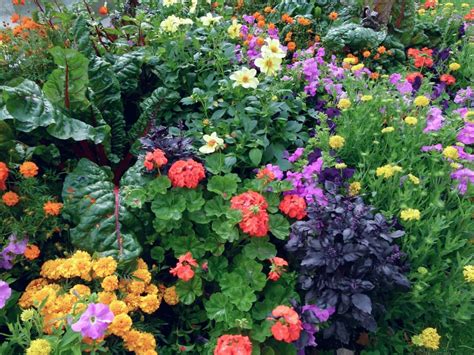 How To Plant An Edible Landscape Install It Direct