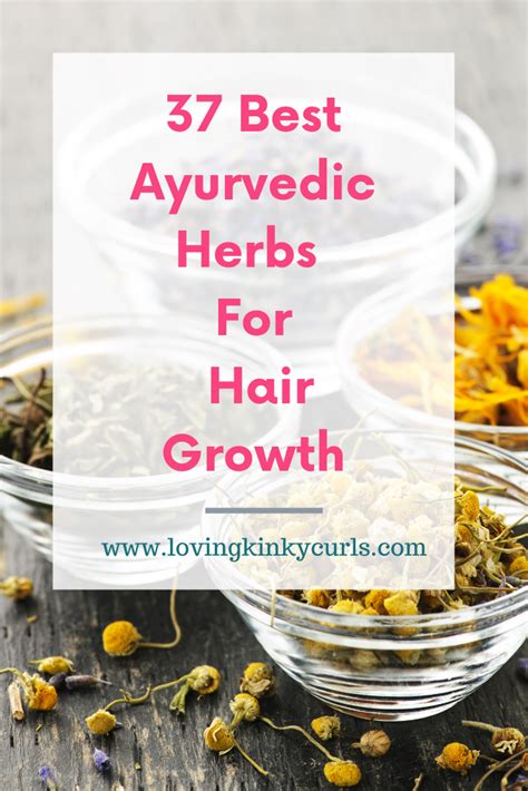37 Best Herbs For Natural Hair Growth Artofit