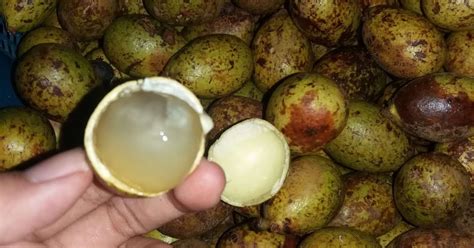 Mengenal Khasiat Matoa Buah Manis Nan Legit Dari Papua