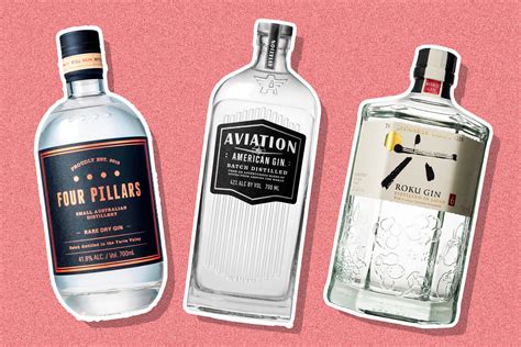 Best Gin Brands For Martini Get More Anythinks