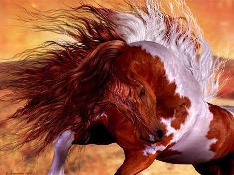 Paint Horse Wallpapers Wallpaper Cave