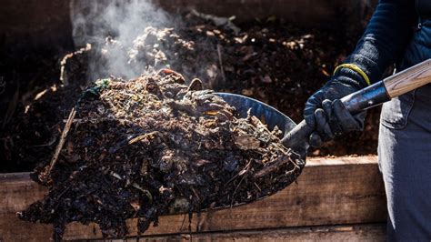 Guide To Hot Composting How To Get The Best Garden Compost In Just