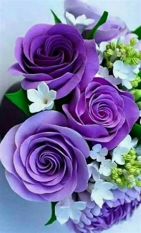 22 Awesome Purple Rose Purple Flowers Purple Roses