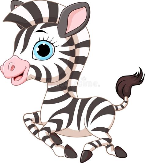Zebra Running Stock Illustrations 966 Zebra Running Stock