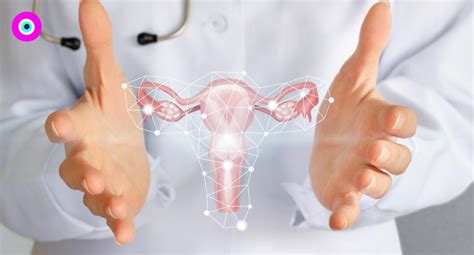 Estudio M Dico Afirma Que El Trasplante De Tero Puede Combatir La Infertilidad