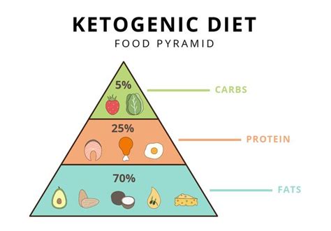 Low carb canada's breakfast is suitable for thinslim, ideal protein or similar diets. Ketogenic Diet Food Pyramid Vector Illustrator - Download