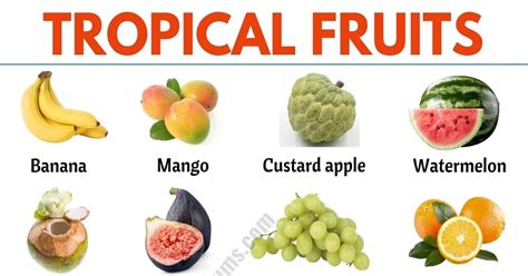 Exotic Fruits List Of 75 Exotic Fruits From All Around The World