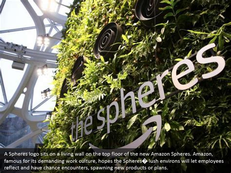 PPT - Amazon's glass Spheres open in Seattle PowerPoint Presentation