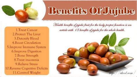 13 Health Benefits Of Jujube Fruit For The Body Proper Function