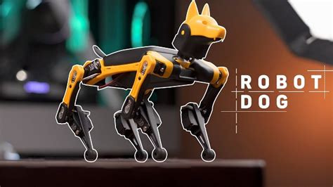 Introducing The Petoi Bittle The Cutest And Most Advanced Robot Dog