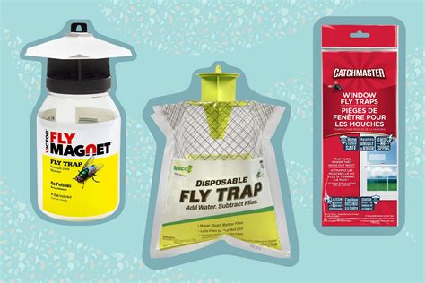 The 7 Best Fly Traps Of 2022 By The Spruce