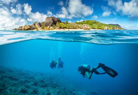 Person Diving Underwater Landscape Scuba Underwater Coral Hd