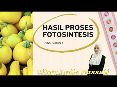 Sains Tahun Hasil Proses Fotosintesis Youtube