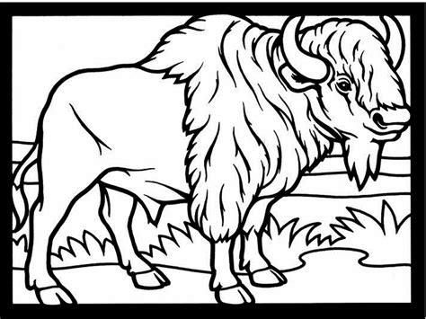 Bison 1191 Animals Free Printable Coloring Pages