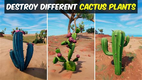 Destroy Different Types Of Cactus Plants Fortnite Week 8 Quests