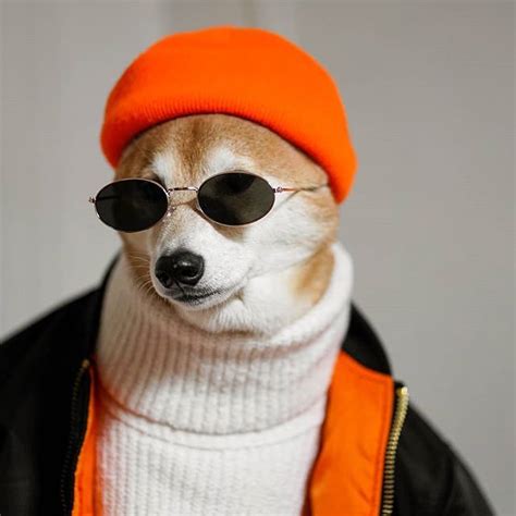 Mensweardog The Most Stylish Dog In The World Menswear Dog Stylish