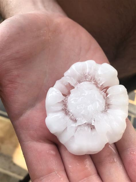 Sydneys Storms Saw Cauliflower Shaped Hailstones Batter The City Here
