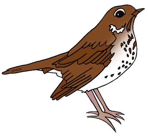Brown Bird Clipart 20 Free Cliparts Download Images On Clipground 2023