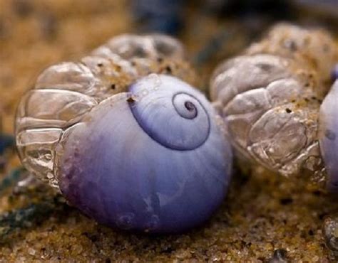 We did not find results for: 10 haiwan warna ungu yang menarik - Unikversiti