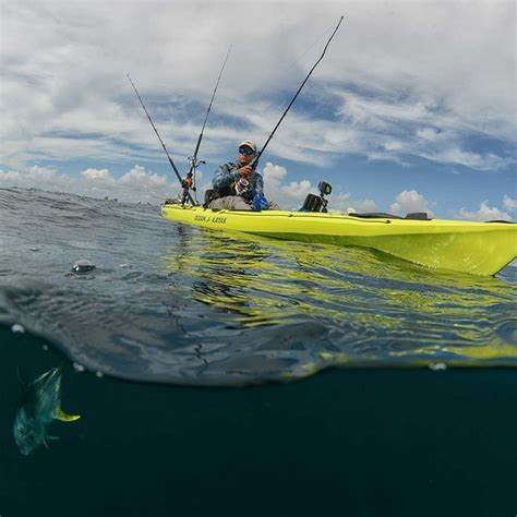 They have never been out of their bags. Ocean Going Kayak - Kayak Explorer