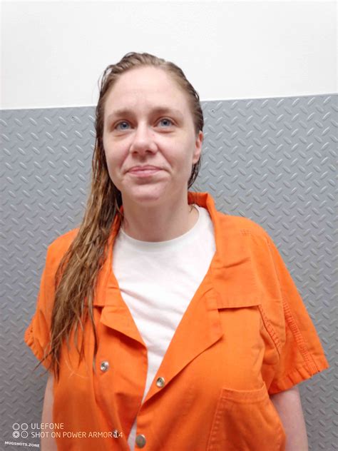 TANNER SAMANTHA 05/22/2024 - Hart County Mugshots Zone