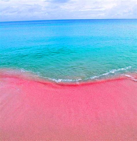 Barbuda Pink Beaches