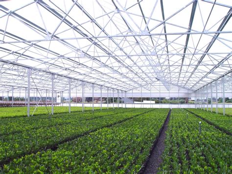 Greenhouse Lighting And Fixtures Prospiant