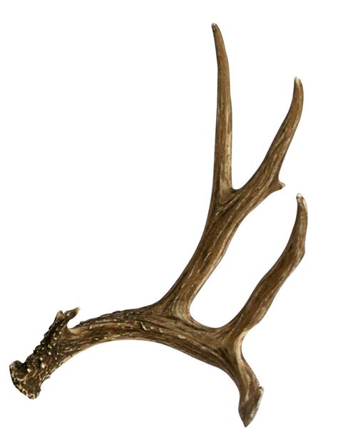 Mule Deer Faux Antler Cast Horn Designs
