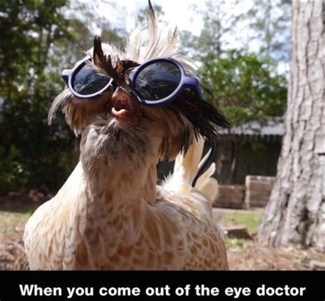 Pin By Lorrie Struiff On The Best Medicine Funny Animal Pictures