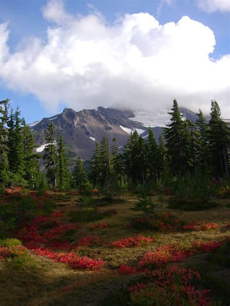 Image Of Mt Jefferson Wilderness Oregon Hikes Places Of Interest