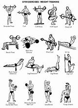 Strength Training Quadriceps Exercises Images