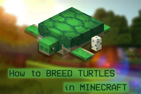 Minecraft How To Breed Turtles Gamers Decide