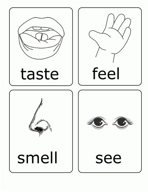 5 Senses Coloring Pages And Books 100 Free And Printable