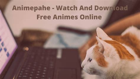 Animepahe Watch And Download Free Animes Online