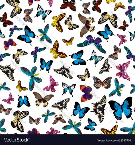 Colorful Print Pattern Seamless Butterflies Vector Image
