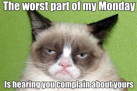 Funny Grumpy Cat Quotes Pictures Worth Sharing