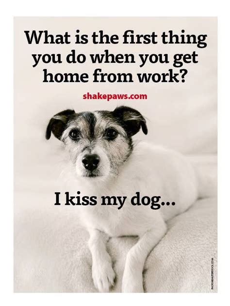 Kissing My Dog Is The First Thing I Do When I Get Home Dog Quotes