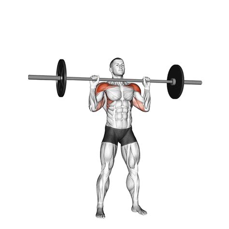 Push Press Vs Overhead Press The Differences Explained Inspire Us