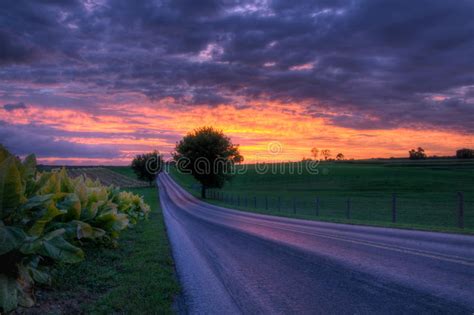Country Road Sunset Stock Image Image 10940251