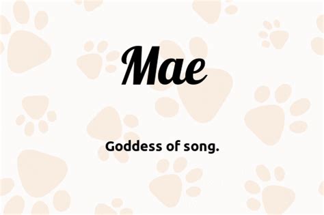 Mae 🐶 Dog Name Meaning And Popularity ™