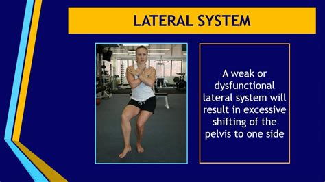 Lateral System Active Anatomy Youtube