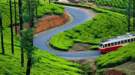 Munnar In Kerala Munnar Sightseeing Tour Packages 2020 433 Reviews