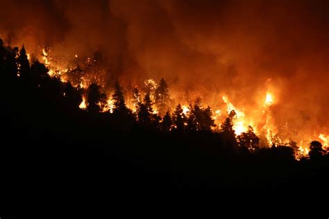 Wildfires Around The World In Pictures World Economic Forum
