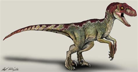 The Lost World Jurassic Park Velociraptor Concept By Nikorex On Deviantart